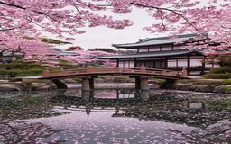 تور ژاپن ویژه نوروز